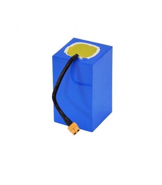 ChampDriver Battery